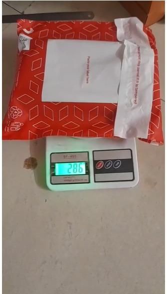 8" Wire Strippers Crimpers Cutter Pliers Multi-Function Hand Tool